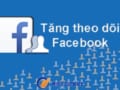 tang-theo-doi-facebook