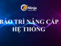 ninja nang cap he thong phan mem