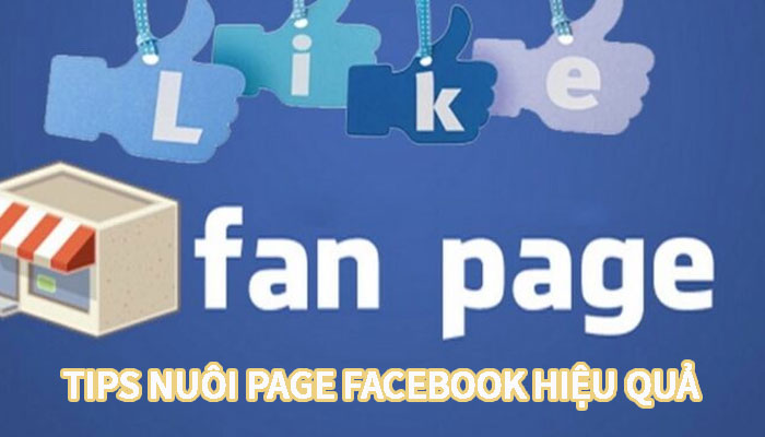 nuôi page facebook 3 Tool tạo page facebook tự động, số lượng lớn   Ninja Auto Post