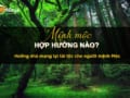 Mệnh mộc hợp hướng nào?