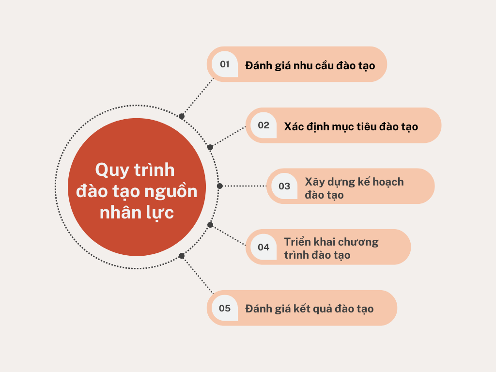 dao tao nhan su Đào tạo nhân sự   Quy trình chuẩn hỗ trợ cho doanh nghiệp