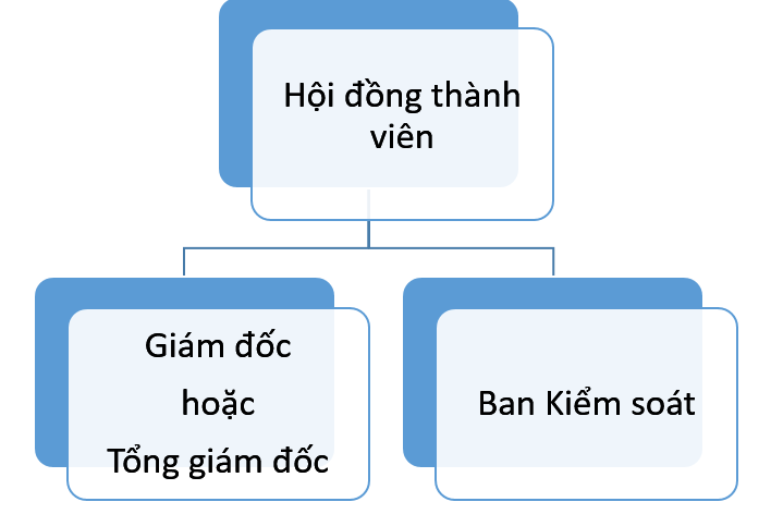 Document2 Sơ đồ tổ chức là gì? Mẫu sơ đồ tổ chức chi tiết, phổ biến