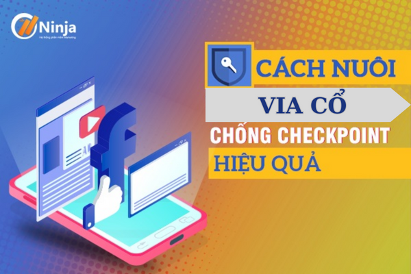 cach nuoi via co TUT nuôi via cổ trust cao, chạy quảng cáo facebook hiệu quả