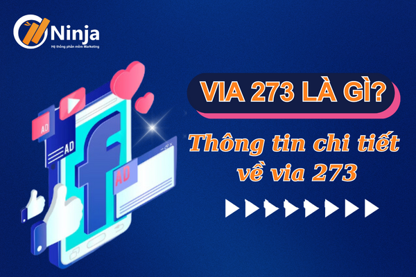 via 273 la gi Via 273 là gì? Thông tin chi tiết về via 273