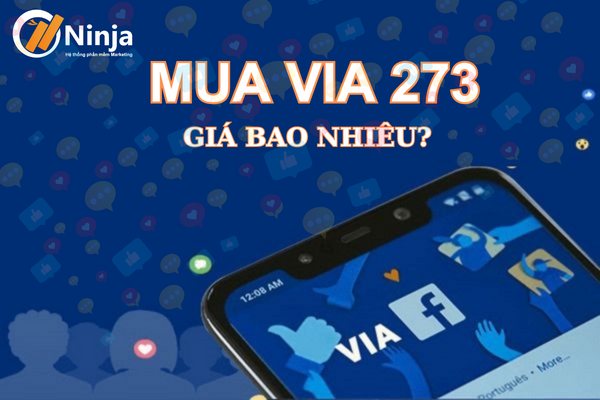 via 273 Via 273 là gì? Thông tin chi tiết về via 273