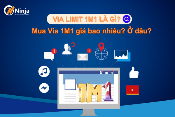 via limit 1m1 la gi 2 Via limit 1m1 là gì? Thông tin chi tiết về Via 1m1