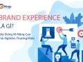 Brand Experience là gì? 4 yếu tố xây dựng và nâng cao trải nghiệm thương hiệu