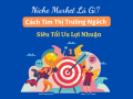 niche market là gì, cách xác định