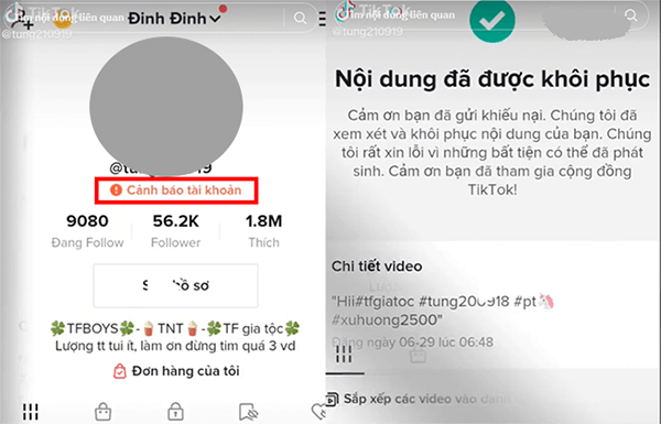 tai khoan tiktok bi canh bao 2 Tài khoản tiktok bị cảnh báo bao lâu? 