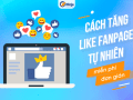 Hướng dẫn cách tăng like fanpage tự nhiên, miễn phí