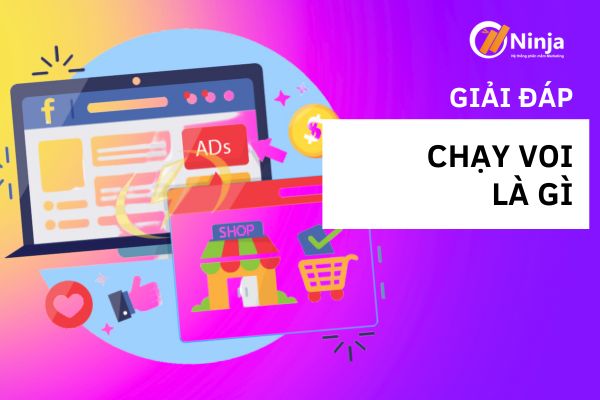 chay voi la gi Chạy voi là gì? Lợi ích và kinh nghiệm chạy ads voi là gì?