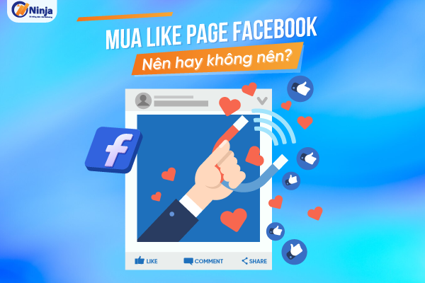 mua like page facebook Mua like page facebook nên hay không nên?