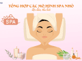 mô hình spa nhỏ