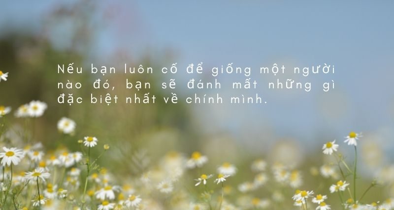 nhung cau noi hay ve ban than 13 e1716870314474 Những câu nói hay về bản thân ngắn gọn, ý nghĩa nhất 2024