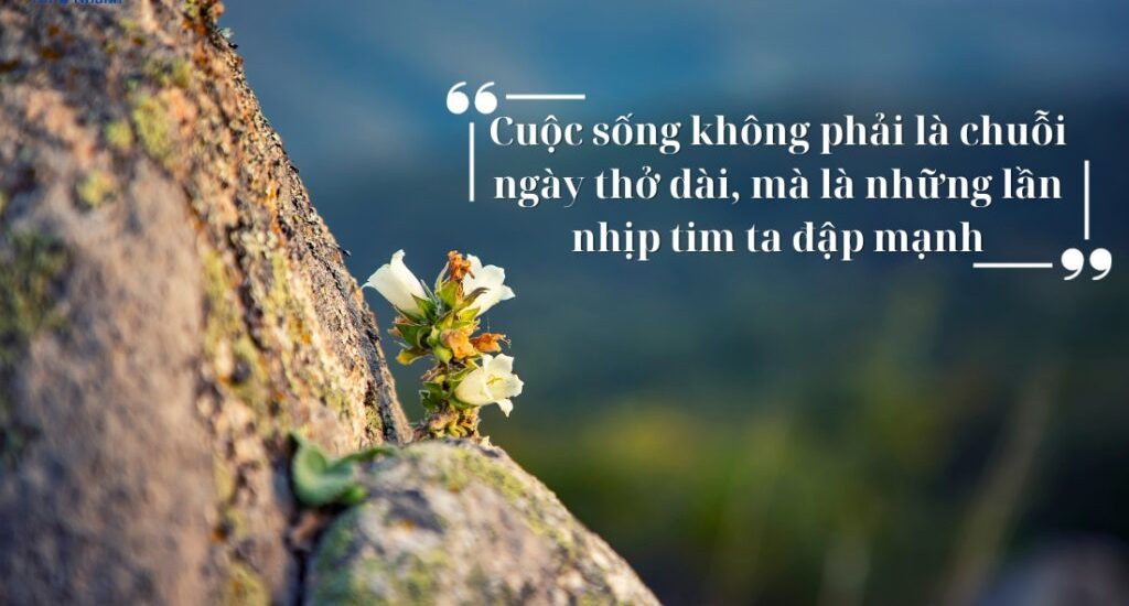 nhung cau noi hay ve cuoc song tao nang luong moi ngay 1024x629 1 e1716869360169 Những câu nói hay về bản thân ngắn gọn, ý nghĩa nhất 2024