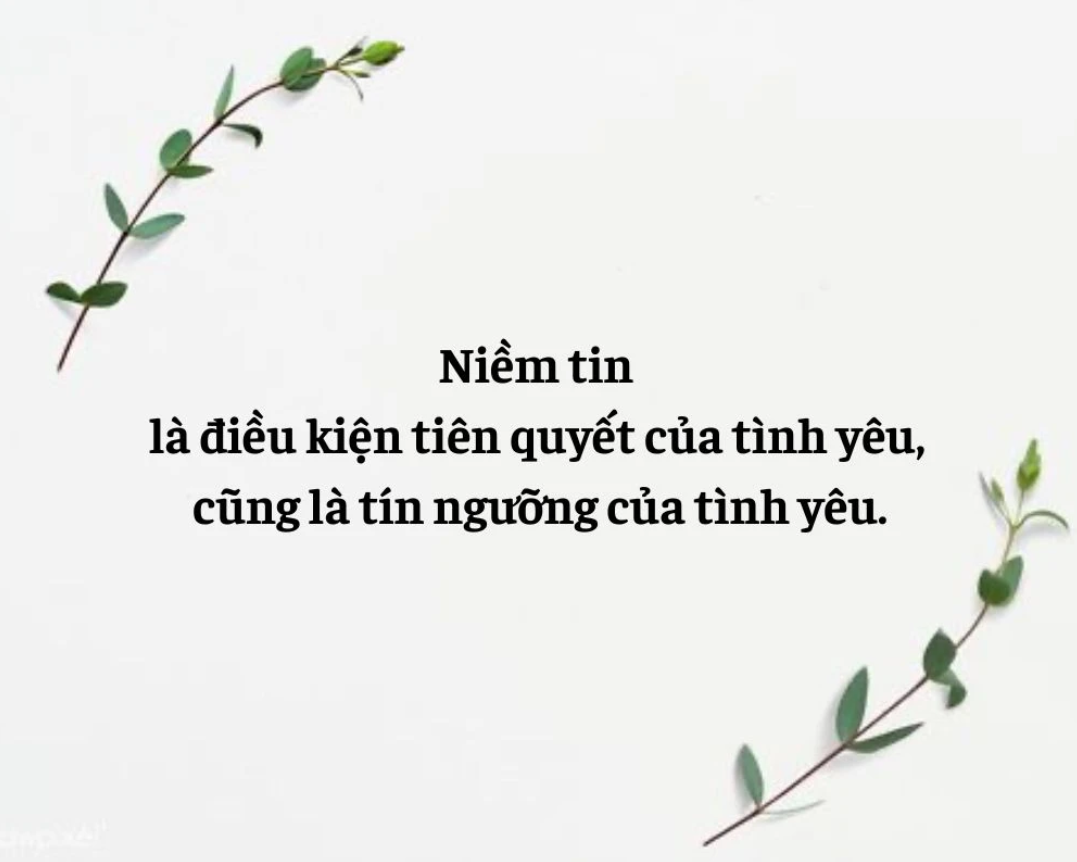 Screenshot 2024 06 04 114121 Những câu nói hay về niềm tin tạo động lực mỗi ngày